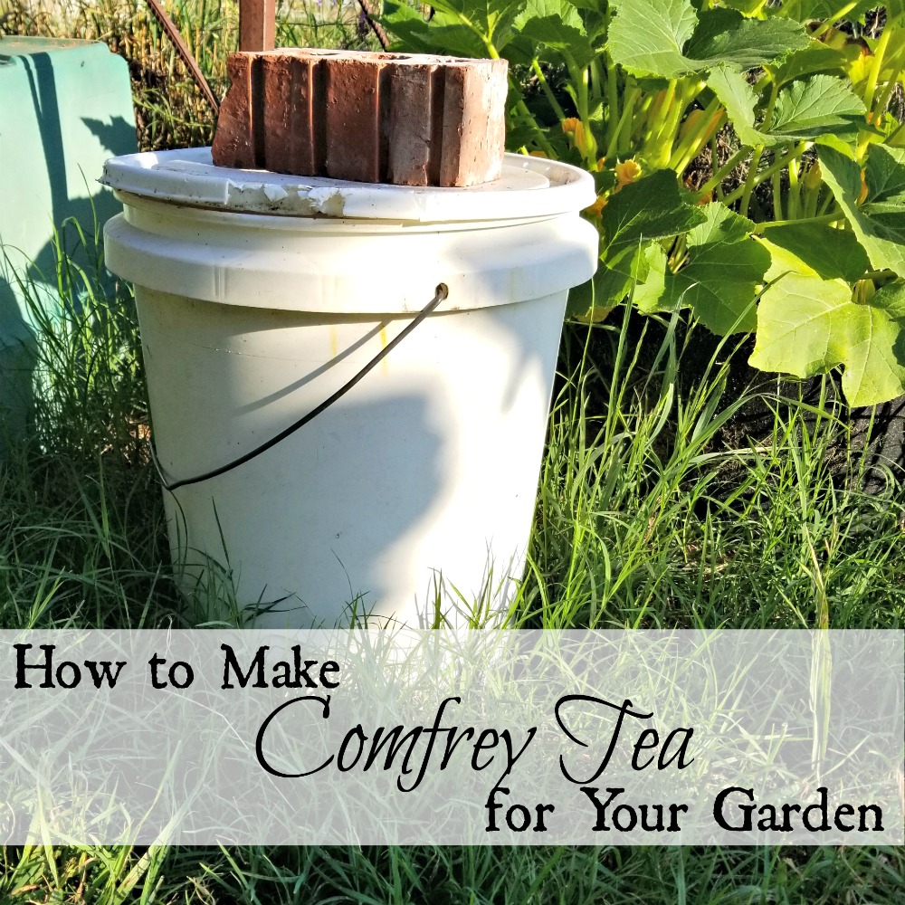 How to Make Comfrey Tea for Your Garden Oak Hill Homestead