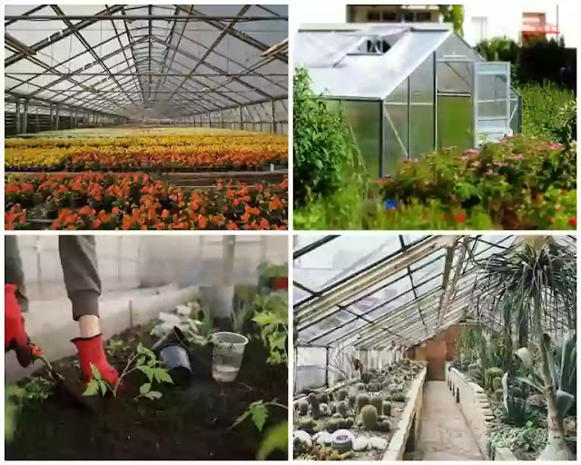 greenhouse cost for 1 acre in India