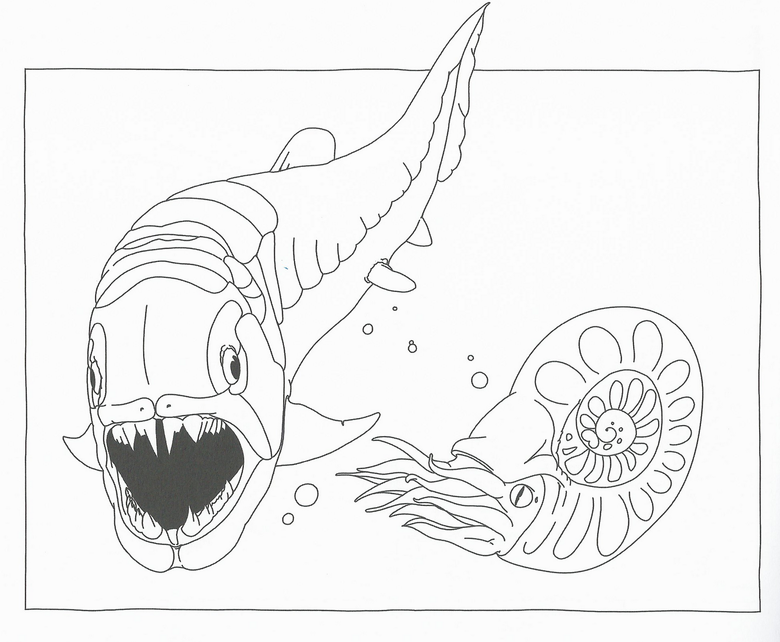 Disegni da colorare disegni da colorare i dinosauri for Disegni pesci da colorare e stampare per bambini