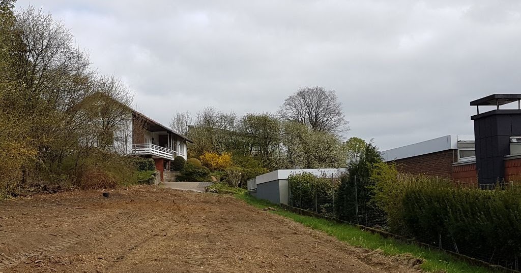 Da ist doch was im Haselbusch!