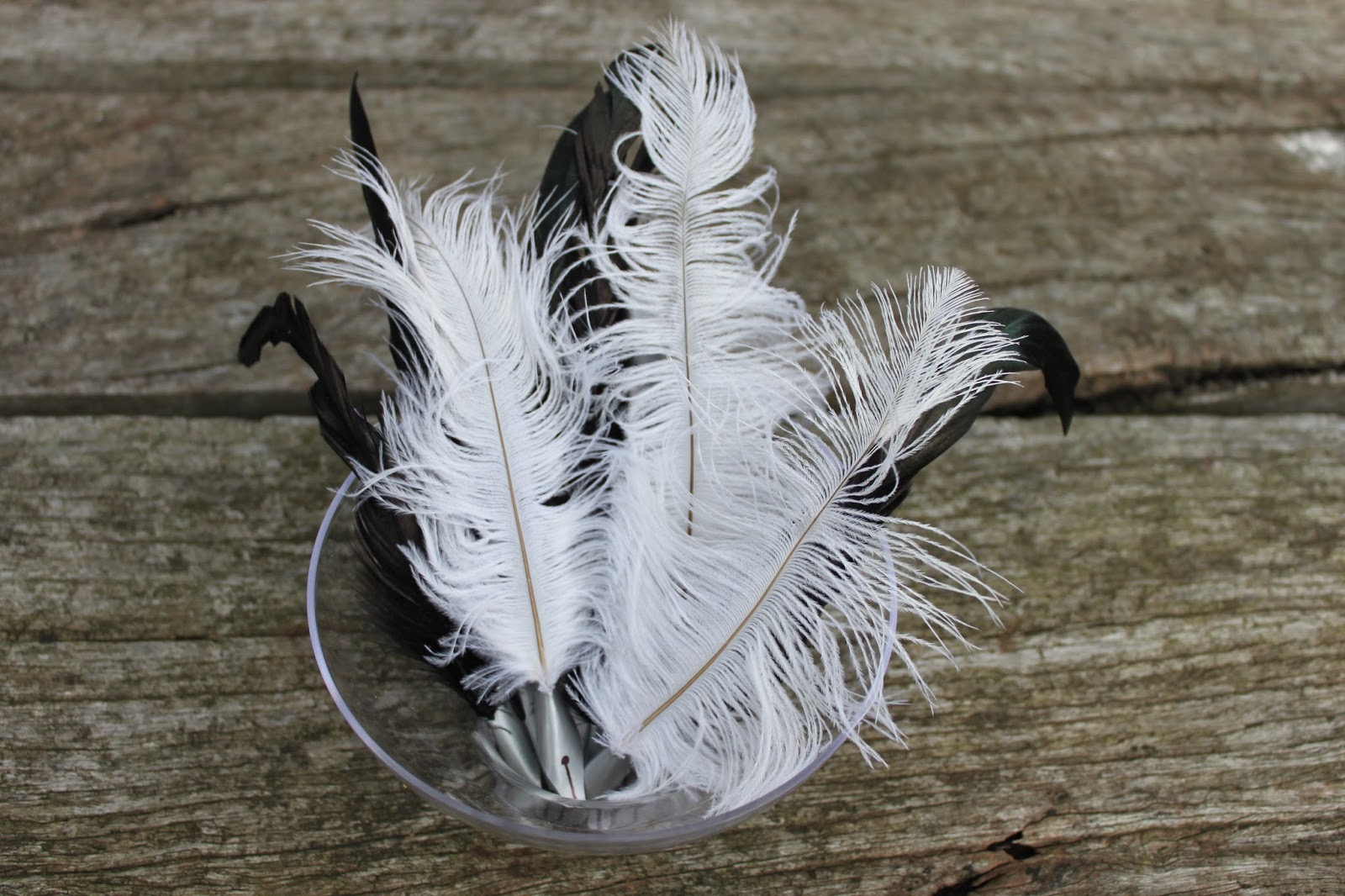 Mummy Darling Precious Petal Harry Potter DIY Refillable Sugar Quills