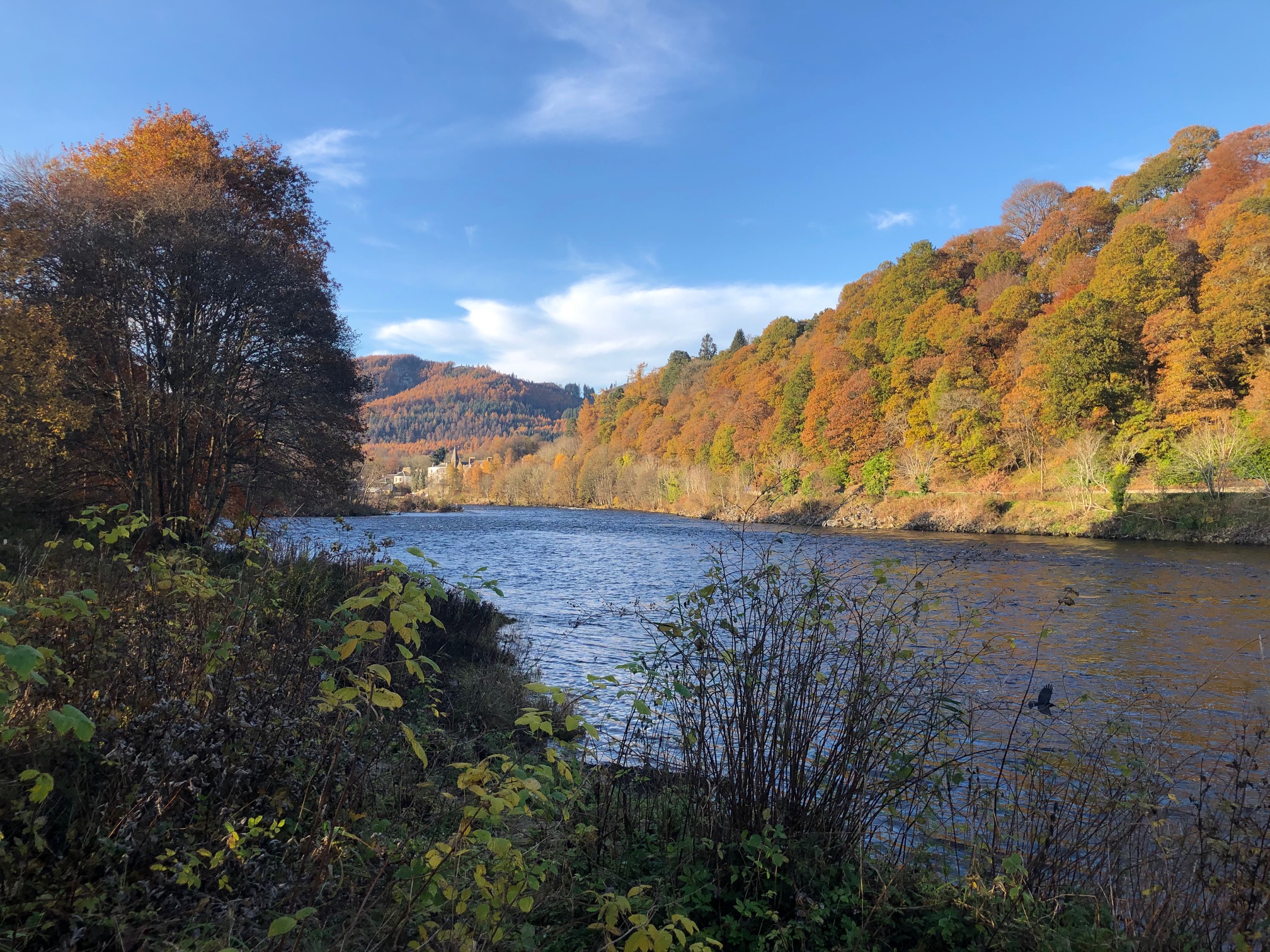 Scottish Fishing Guide River Tay