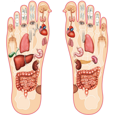 Học cách bấm huyệt bàn chân để chữa bệnh hiệu quả-1