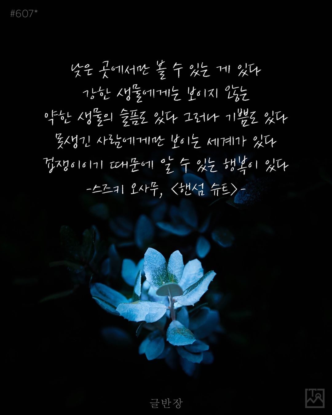 겁쟁이이기 때문에 알 수 있는 행복이 있다 - 스즈키 오사무, <핸섬 슈트>