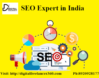 SEO Freelancer Services in India