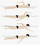 Penjelasan Macam Macam Gaya Renang Dan Cara Melakukannya Zona