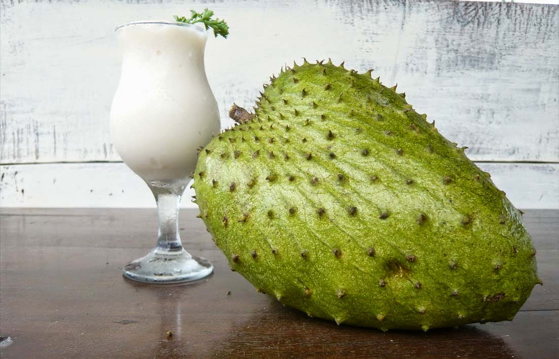 Health Benefits Of Soursop In Pregnant