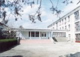 Stefanesti High School