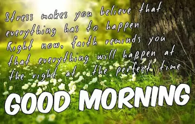 Good Morning Images Good Morning Images