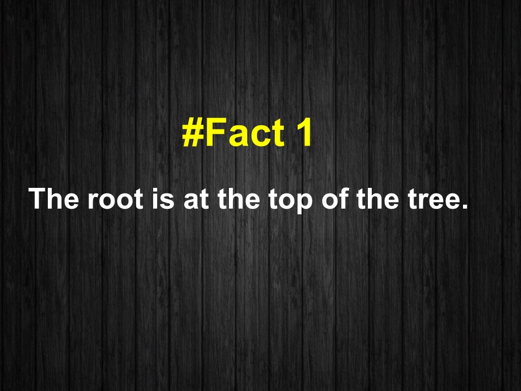 The root is at the top of the tree.