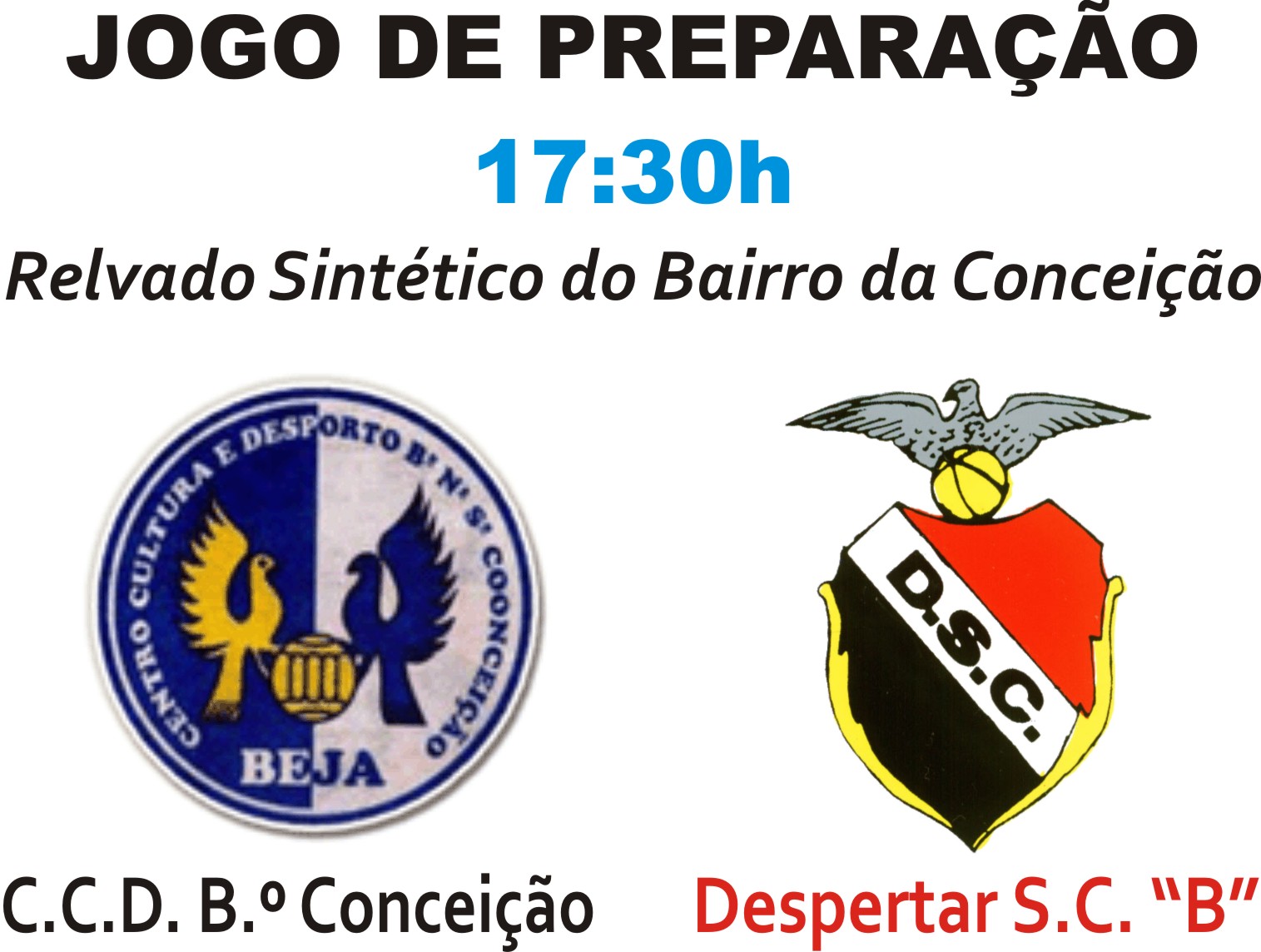 Resumo Do Livro As Feras Futebol Clube