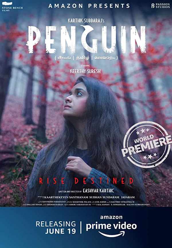Penguin: Box Office, Budget, Hit or Flop, Predictions, Posters, Cast