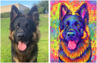 colorful dog portrait