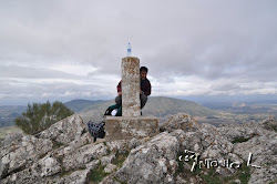 TAJO LAGARÍN