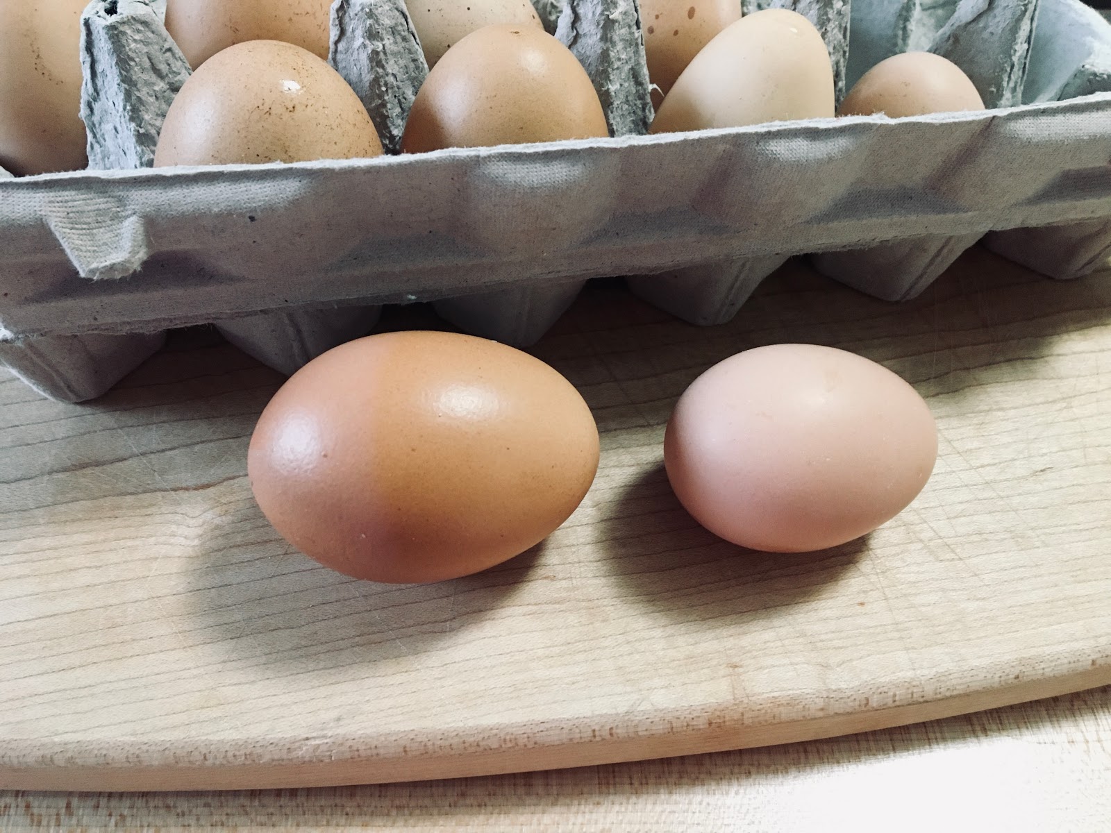 First Eggs Laid by Hatched Chickens