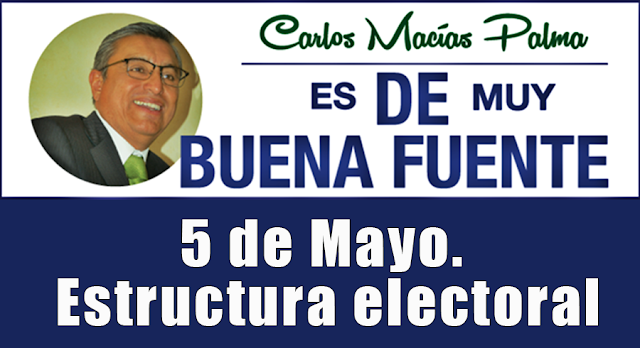 5 de Mayo. Estructura electoral