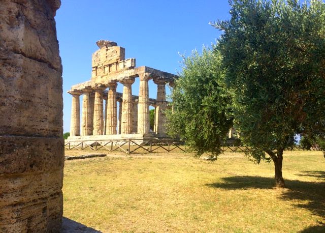 How to Visit the Temples of Paestum 