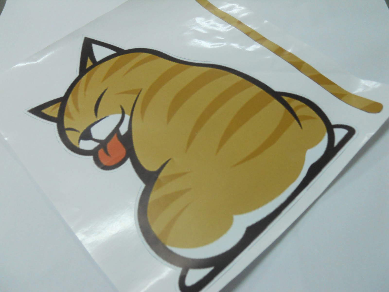 decalmeister custom automotive art S 100 Korean Inspired Cat Sticker..