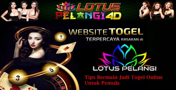 Agen Bandar Togel Toto Jitu Online Terbesar