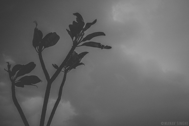 Light Rain - Strong Winds, Jaipur.