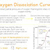 Oxygenhemoglobin Dissociation Curve - Oxyhemoglobin Dissociation Curve Made Easy