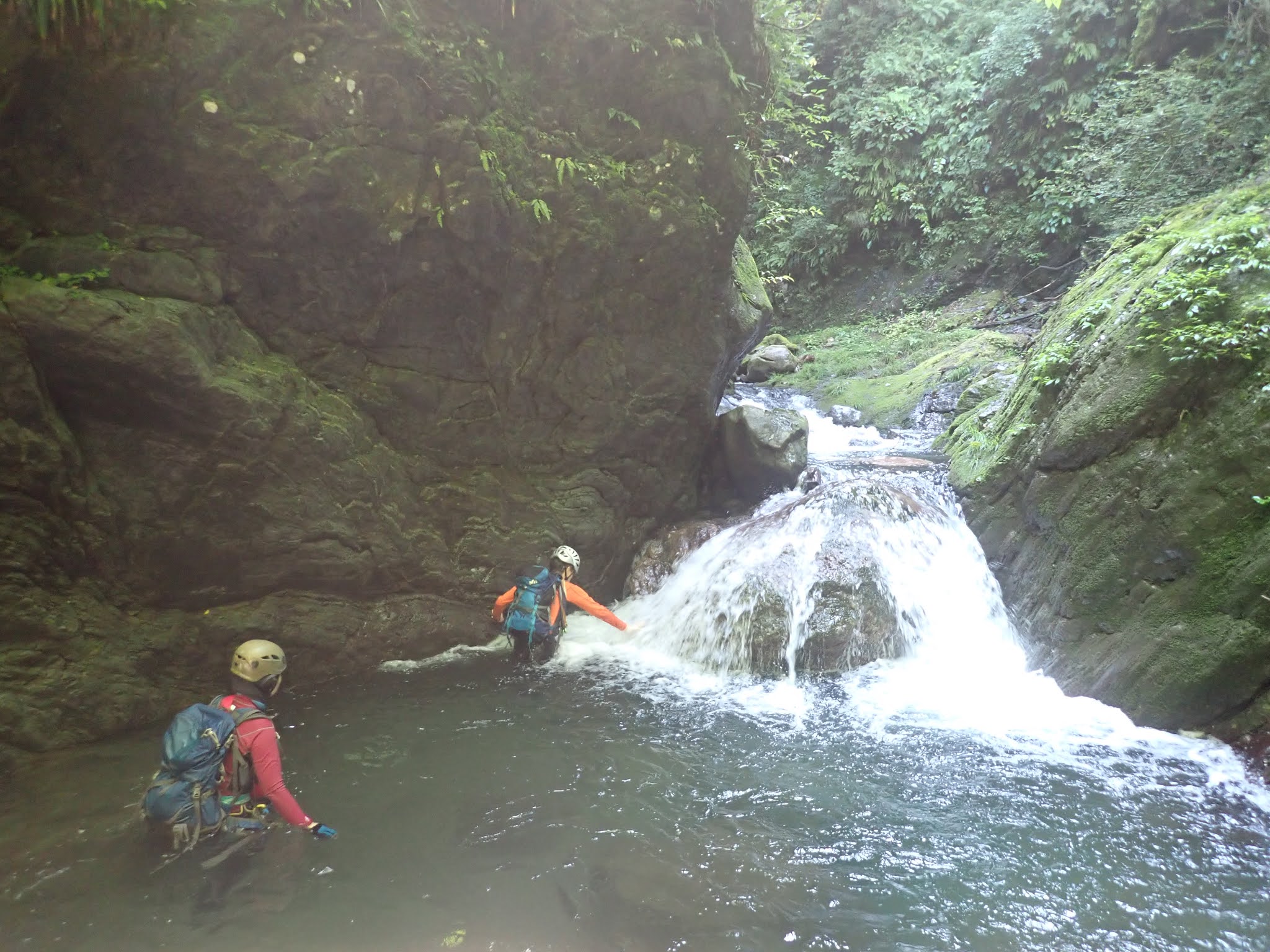 川崎柴笛クラブ 神奈川県 川崎市 山岳会 08 15 海沢川下部 ネジレノ滝まで