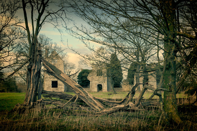 The atmpspheric Hampton Gay ruins in Oxfordshire by Martyn Ferry Photography