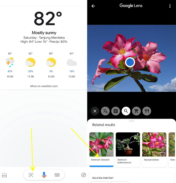 cara menggunakan google lens