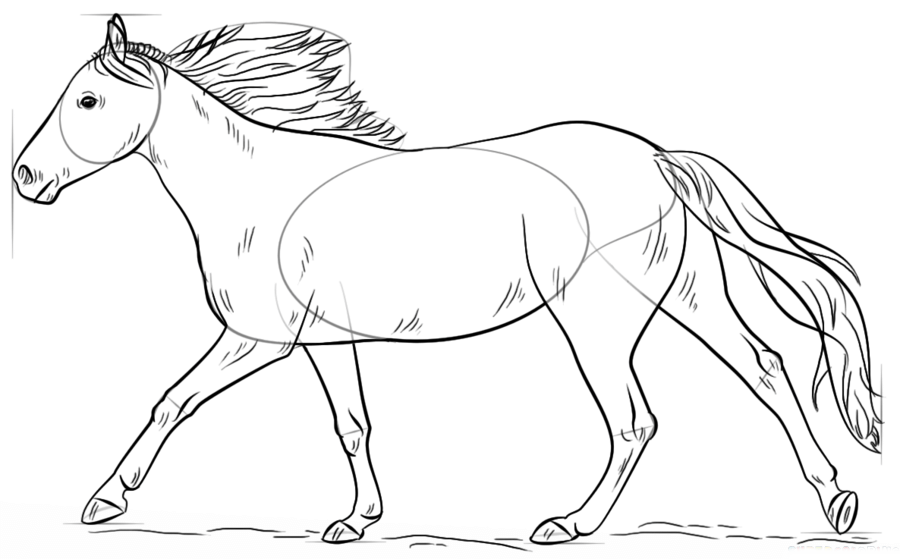 Desenho de linha simples de um cavalo