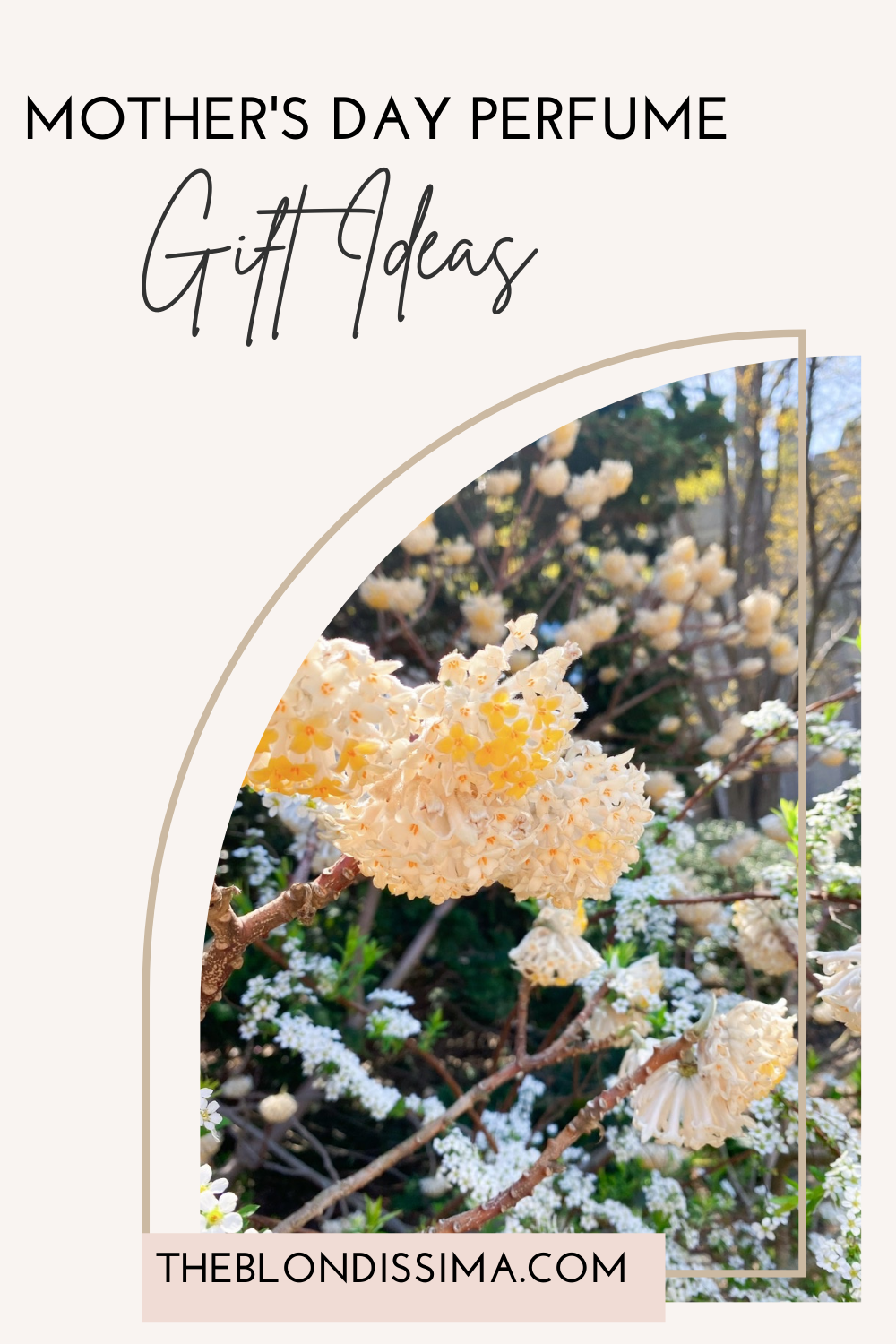 Mother's Day Perfume Gift Ideas The Blondissima
