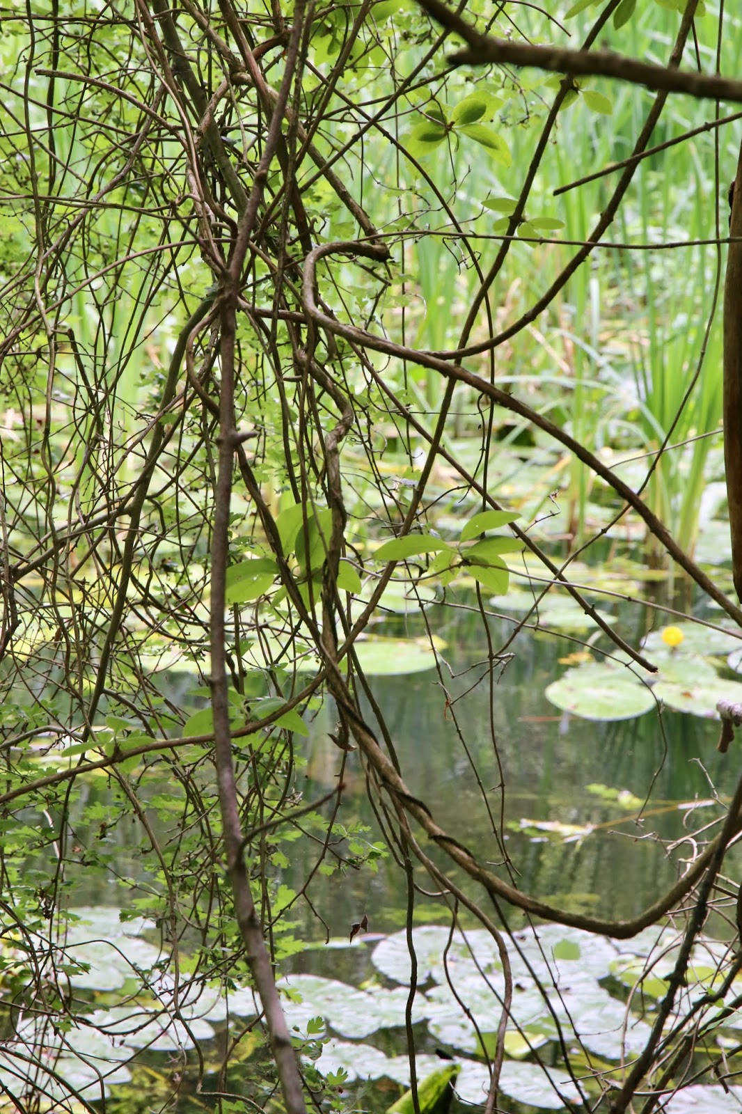 Loft News Und Wie Unsere Aktuelle Wohnung Zur Zeit Aussieht