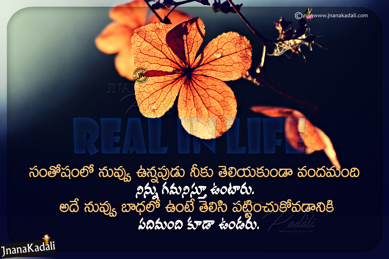 Real Life Quotes in Telugu-Words That Change Your Life in A Good ...