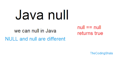 Java null - The Coding Shala