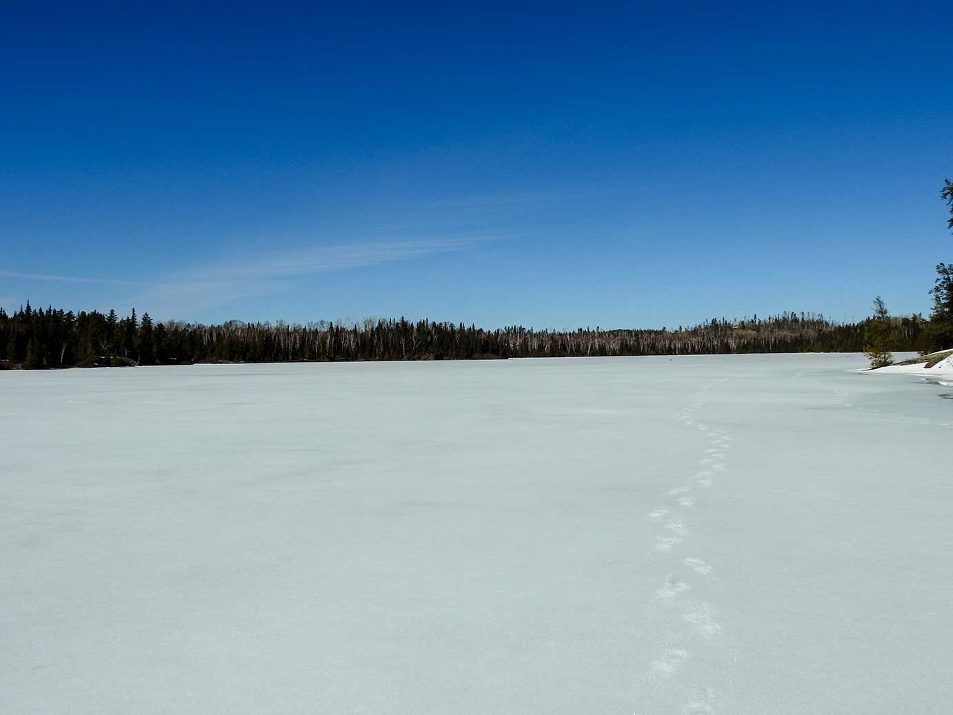 Gowganda Views Checking out the ice on Miller Lake