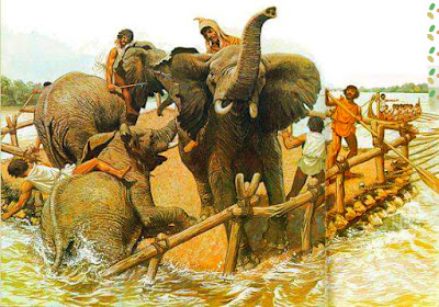 Numidian war elephants