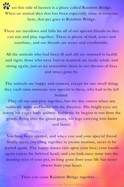 37 Rainbow Bridge Poem To Share On Facebook Gif Beautiful Poems About Life