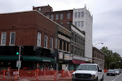 The Tower Grove South Neighborhood