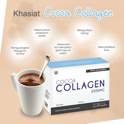 Cocoa Collagen sendayu tinggi