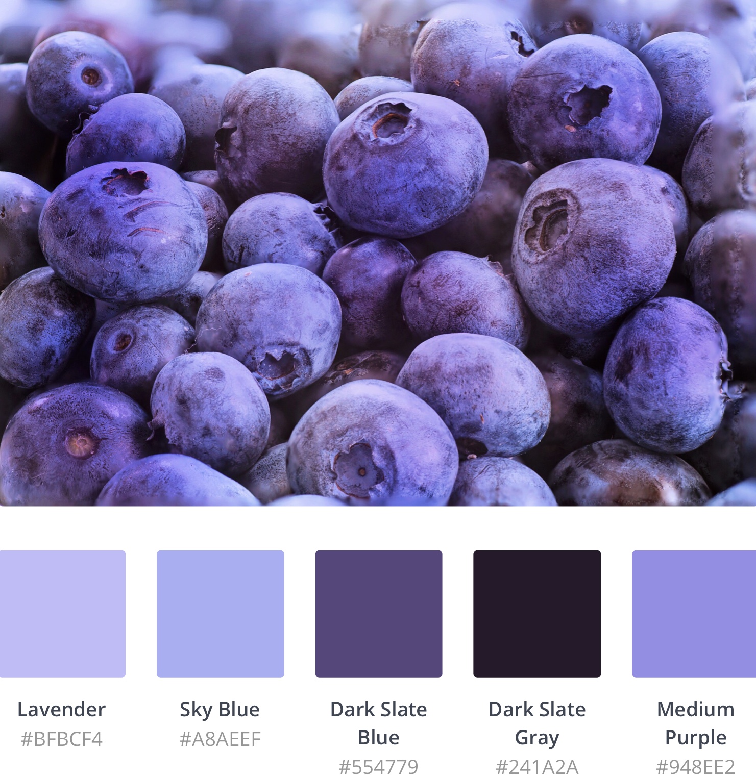 Color Palette Scheme Design Inspiration : Color Palette Scheme Design