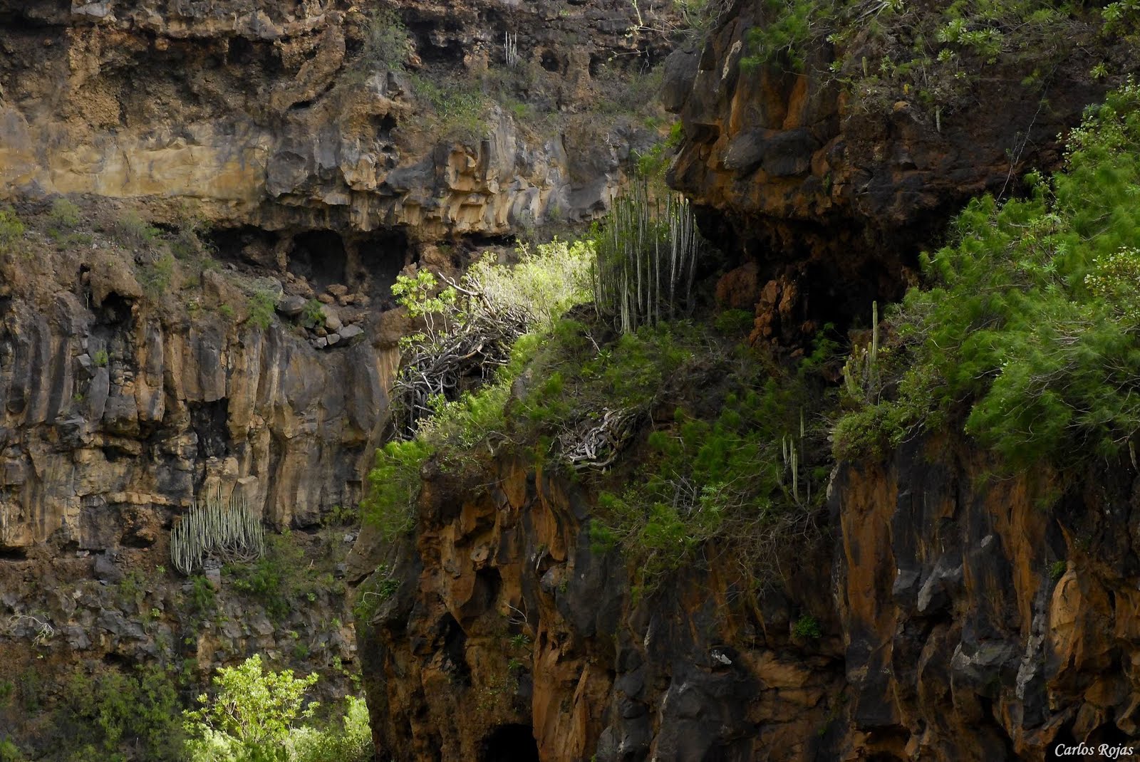 ENIGMAS Y CIENCIAS DE UN AZUL EL ENIGMA DE LOS AXAENTEMIR
