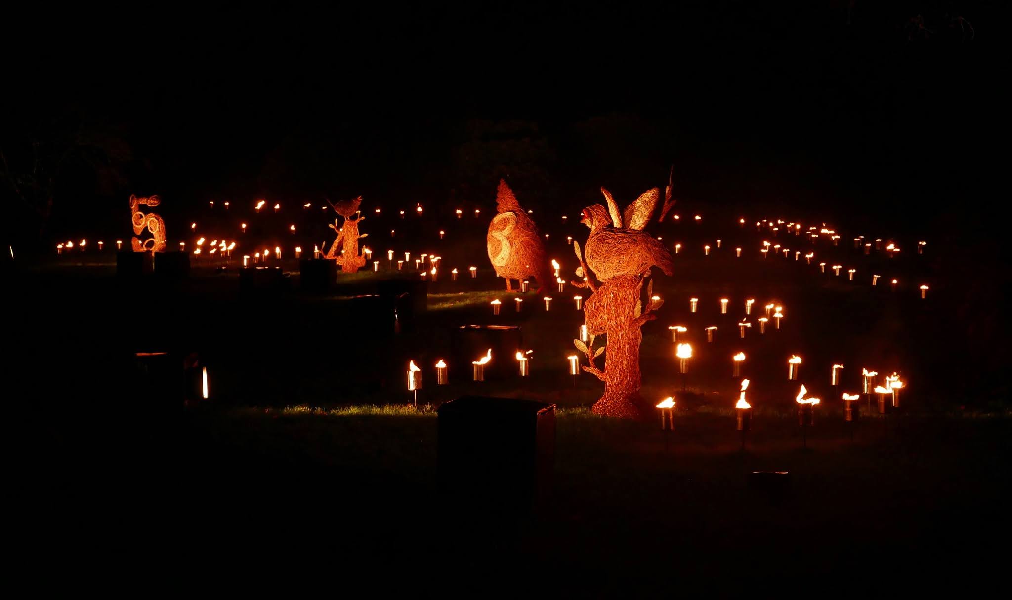 Christmas lights at Stourhead