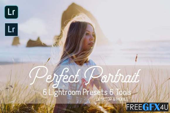 Perfect Portrait Lightroom Presets Free Download Perfect Portrait Lightroom Presets