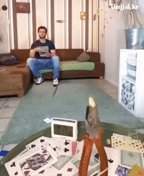 umjjal_kr_080.gif