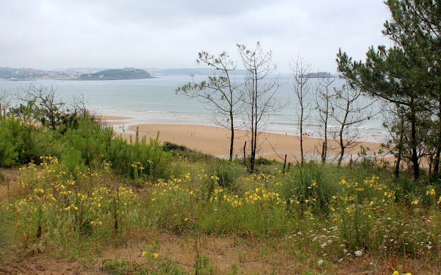 Playa de Somo. Reserva natural del Surf. Ribamontán al Mar