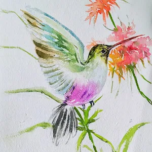 Watercolour Painting Hummingbird (00005)