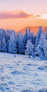 خلفيات ضباب الشتاء ، ضوء الشمس ، غابة التلال ، طبيعة ، ثلج 4K