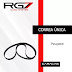Correa Única Peugeot 206