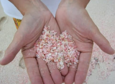 صيفك مختلف الشواطيء المختلفة والجذابة صيفك مختلف الشواطيء المختلفة والجذابة