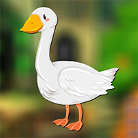 AvmGames Pekin Duck Escape