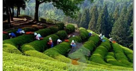 Identifikasikan Dan Jelaskan Jenis Dari Badan Usaha Jika Dilihat Dari Lapangan Usahanya